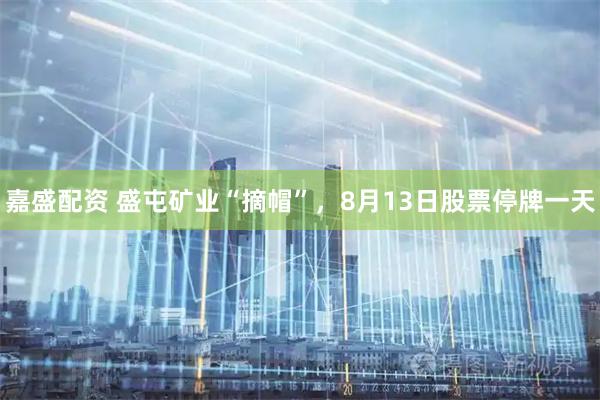 嘉盛配资 盛屯矿业“摘帽”，8月13日股票停牌一天