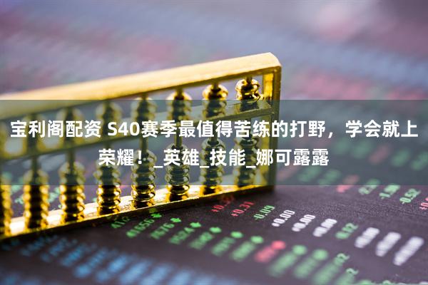 宝利阁配资 S40赛季最值得苦练的打野，学会就上荣耀！_英雄_技能_娜可露露